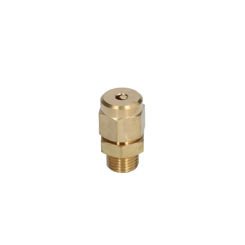 1/4" Anti-Vacuum Valve