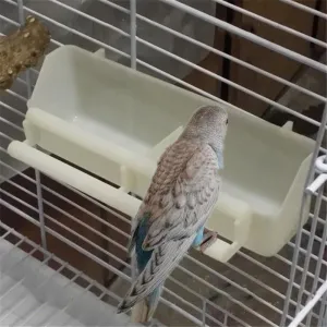 2 in 1 Bird's Feeder
