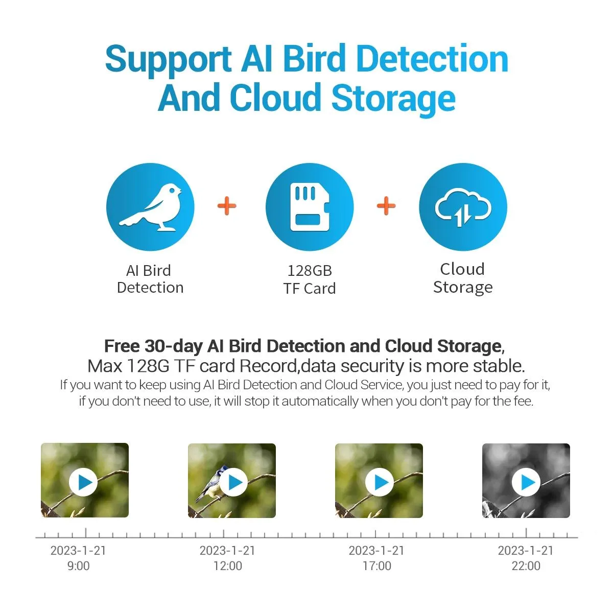 2MP Wifi Camera | AI Bird Recognition | PIR Motion Detection