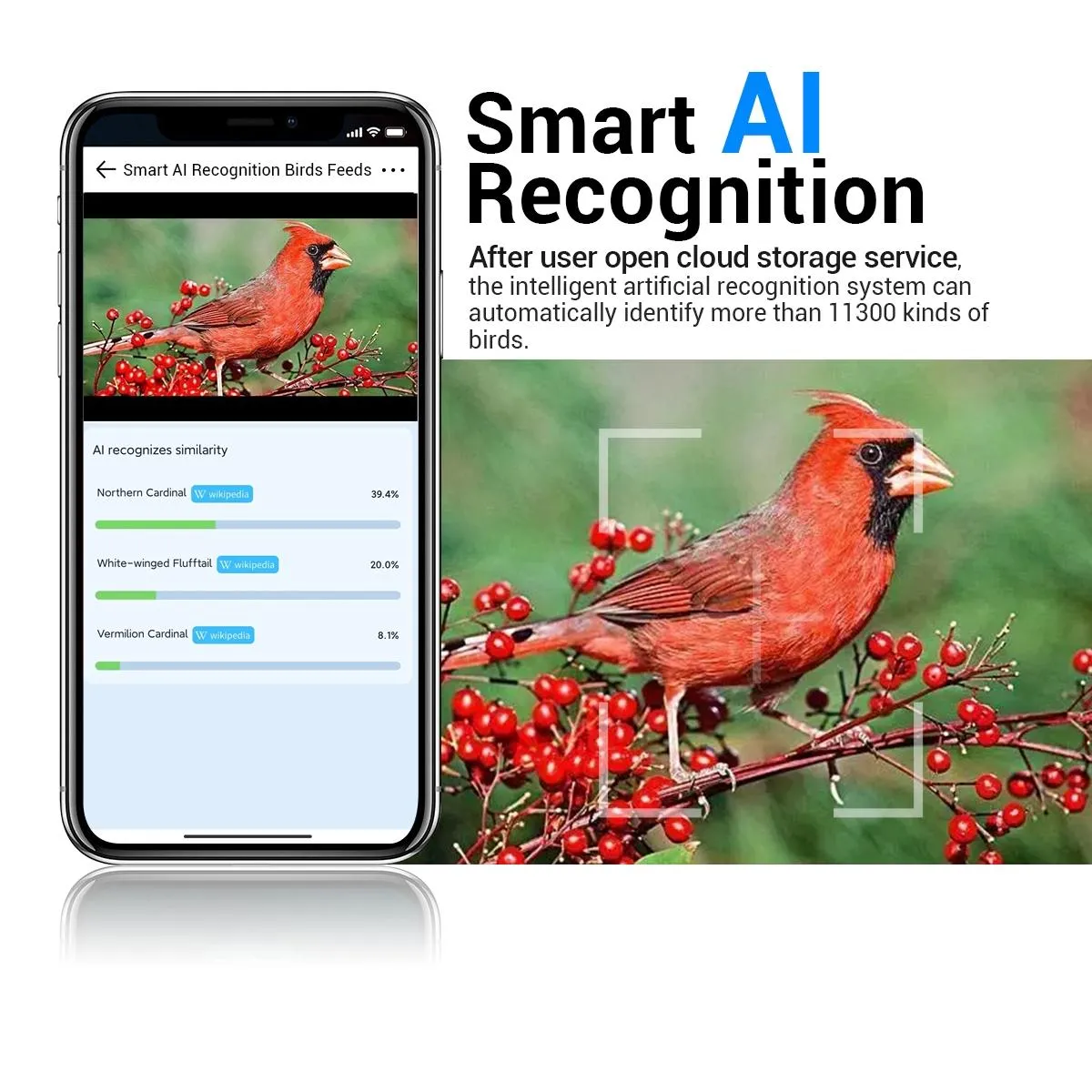 2MP Wifi Camera | AI Bird Recognition | PIR Motion Detection