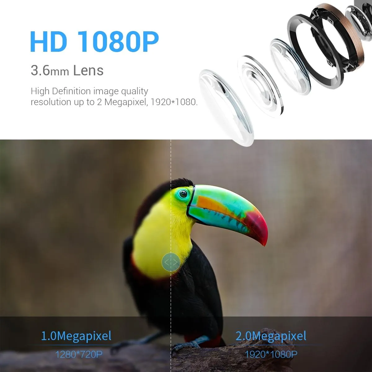 2MP Wifi Camera | AI Bird Recognition | PIR Motion Detection