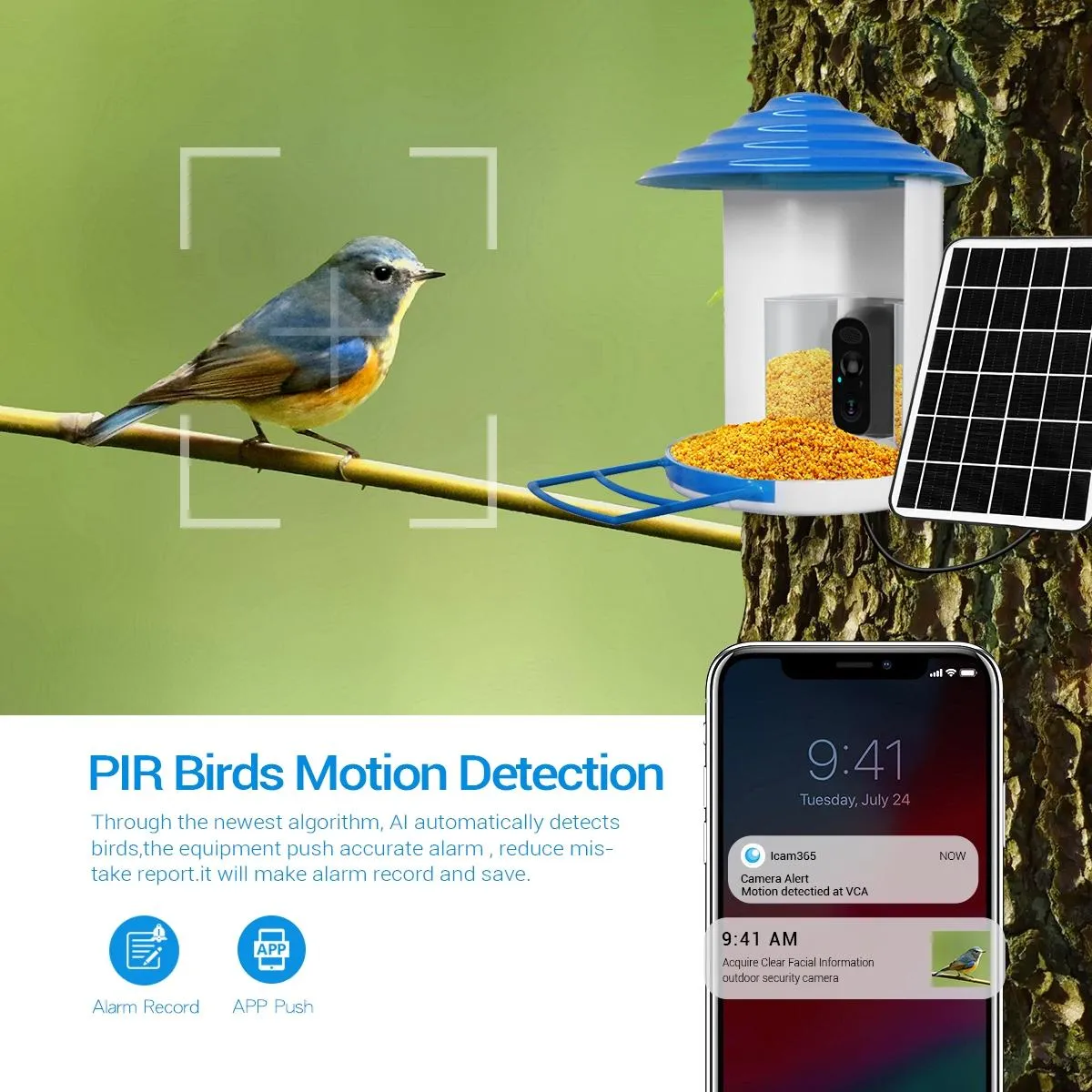 2MP Wifi Camera | AI Bird Recognition | PIR Motion Detection