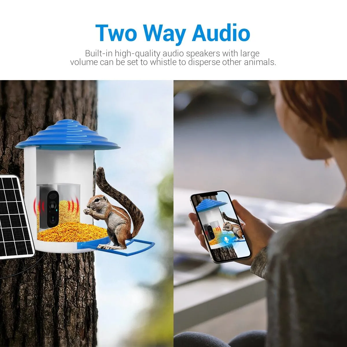 2MP Wifi Camera | AI Bird Recognition | PIR Motion Detection