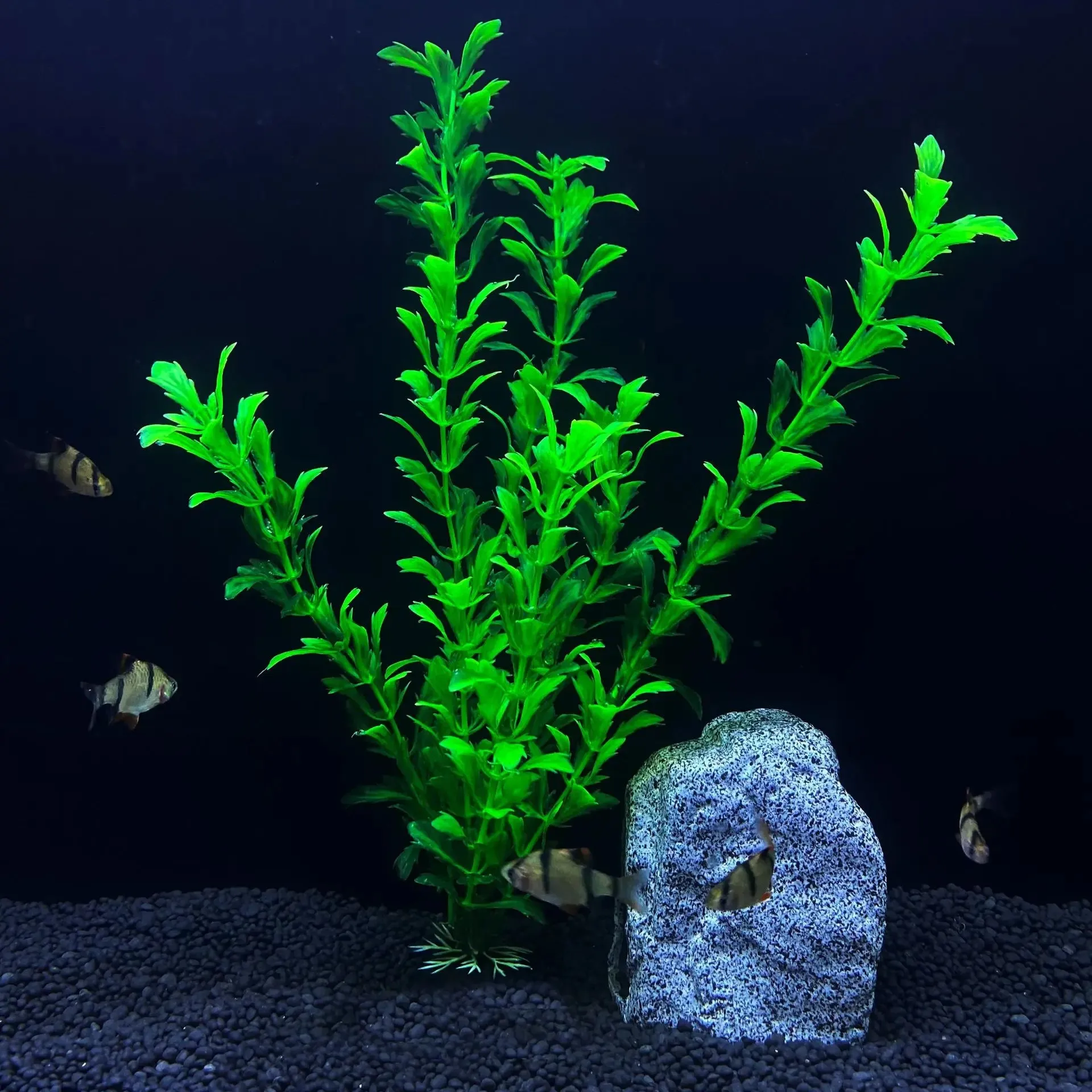30cm High Aquarium Simulation Water Plant for Fish Tank Landscaping