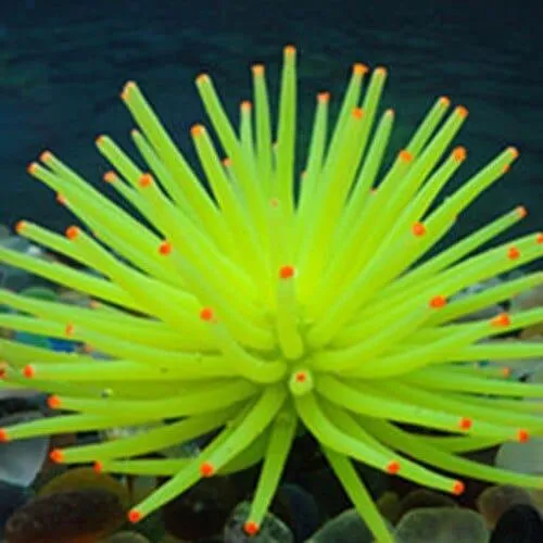 Aquarium Silicone Artificial Aquatic Life