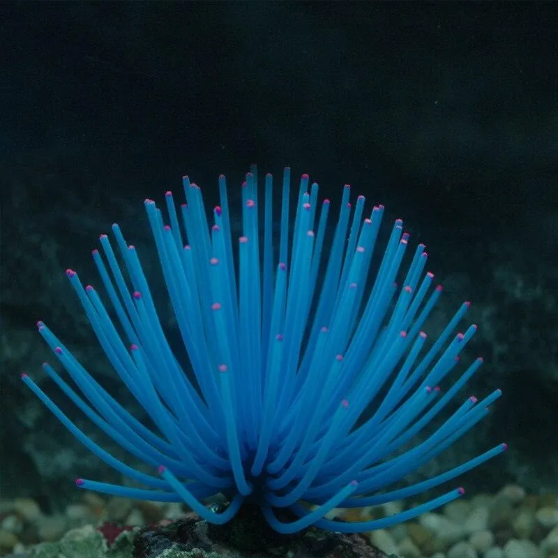 Aquarium Silicone Artificial Aquatic Life
