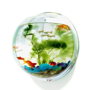 Hanging Globular Acrylic Aquarium