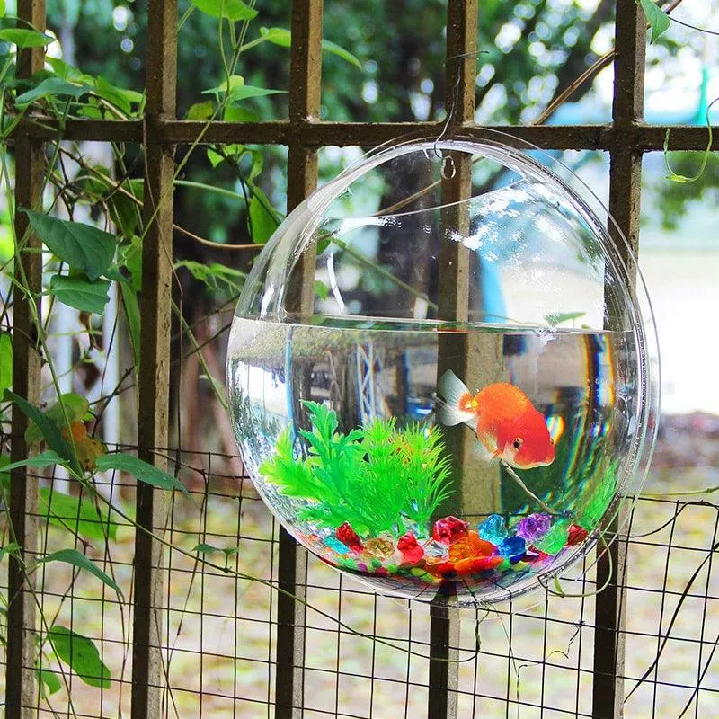 Hanging Globular Acrylic Aquarium