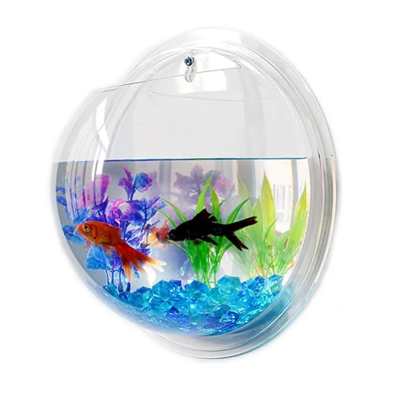 Hanging Globular Acrylic Aquarium