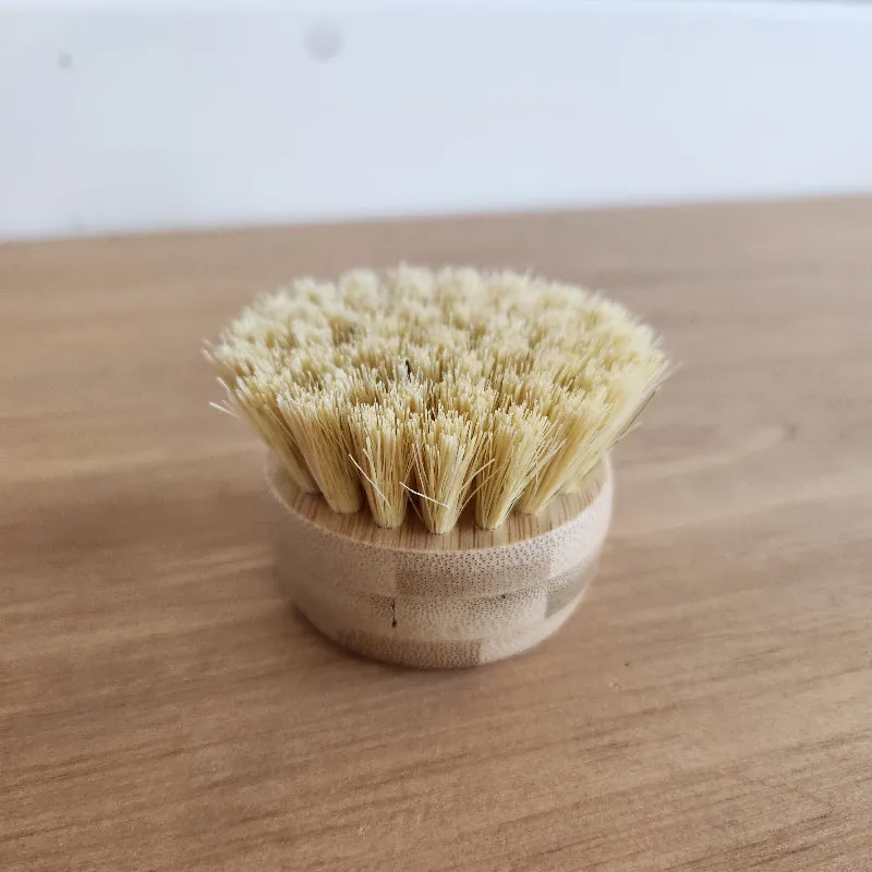 Nellie's Forever Brush Replacement Head