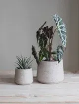 Stratton Tapered Pot Small