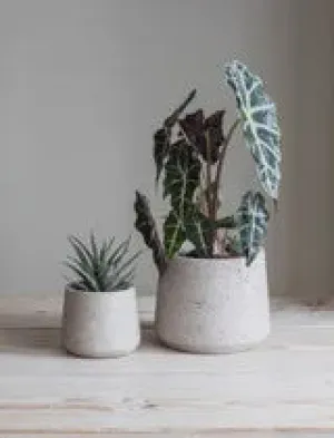 Stratton Tapered Pot Small